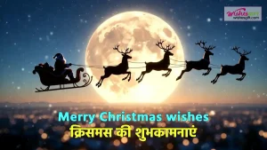 Merry Christmas wishes in hindi क्रिसमस की शुभकामनाएँ