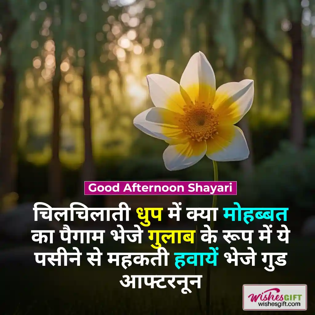 Good Afternoon wishes in hindi ЁЯМЮ рд╢реБрдн рджреЛрдкрд╣рд░ рдХреА рд╢реБрднрдХрд╛рдордирд╛рдПрдВ 5 Good Afternoon Shayari