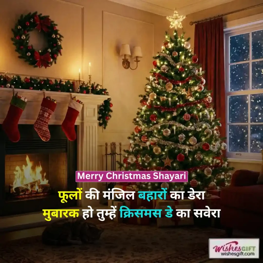 Merry Christmas Shayari
